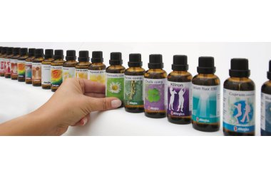 Allergicas comp. midler