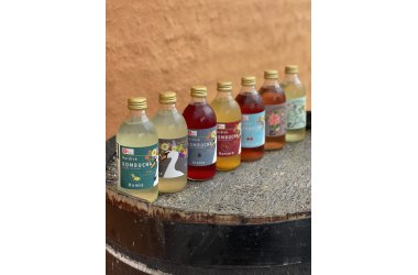 Nordisk Kombucha