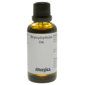 Bryophyllum D6, drber