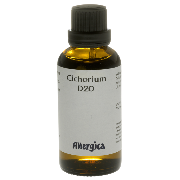 Cichorium D20, drber