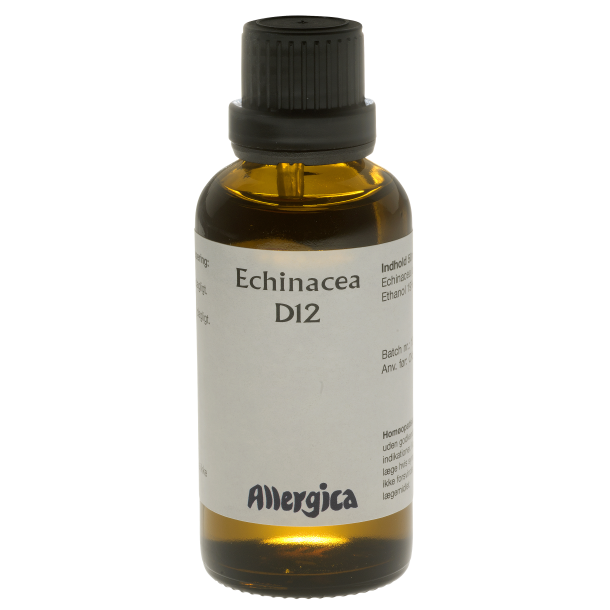  Echinacea D12, drber