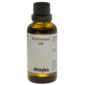  Echinacea D6, drber