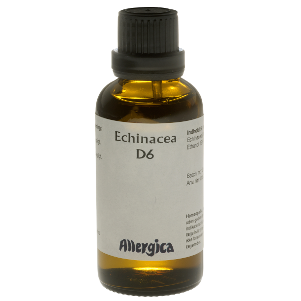  Echinacea D6, drber