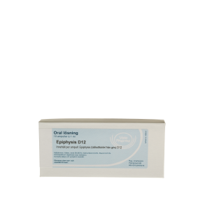 Epiphysis D12, ampul