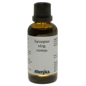  Lycopus virg. comp., drber
