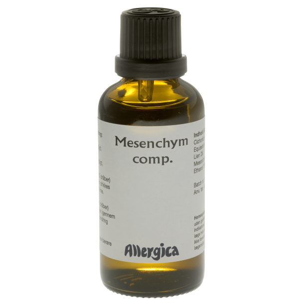 Mesenchym comp., drber