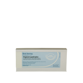 Organum quadroplex, ampul