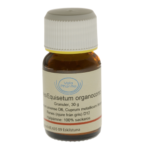 Renes/Equisetum organocomp., globuli