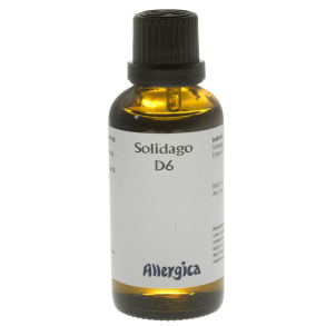 Solidago D6, drber