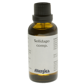  Solidago comp., drber