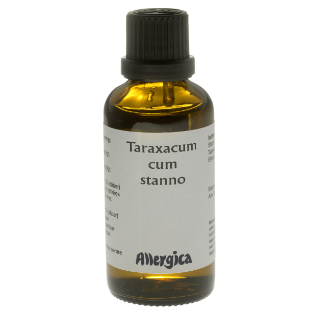 Taraxacum cum stanno, drber