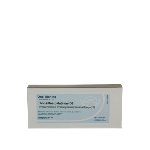 Tonsillae palatinae D6, ampul