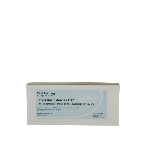 Tonsillae palatinae D12, ampul