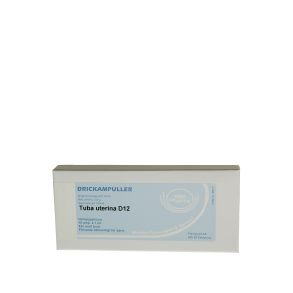 Tuba uterina D12, ampul