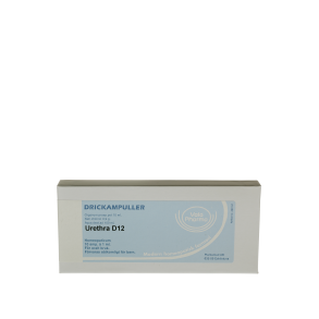 Uterus D12, ampul