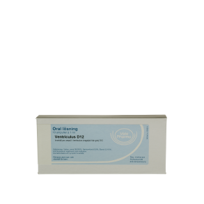 Ventriculus D12, ampul