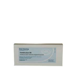 Ventriculus D6, ampul