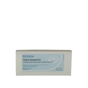 Vesica urinaria D12, ampul